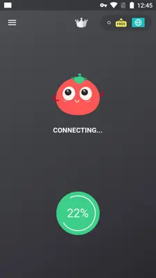 VPN Tomato android App screenshot 0