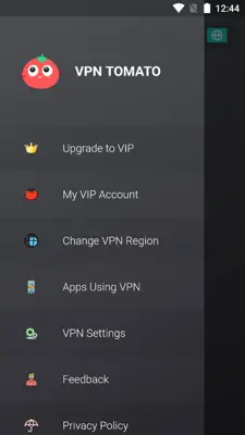 VPN Tomato android App screenshot 7